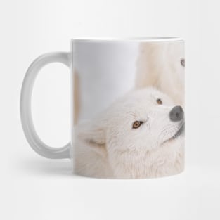 Arctic Wolves Mug